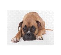 Puzzle en Bois Boxer Dog 1 pour Adultes et Seniors (500 pièces)