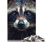 Puzzle en Bois carré créatif de 500 pièces représentant Un Raton Laveur en Gros Plan, Jeu éducatif pour Adultes, 500 pièces (52 x 38 cm)