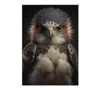 Puzzle en Bois Classique Hawk Looking At The Camera pour Adultes, 300 PCS