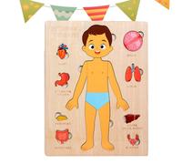 Puzzle en bois d'anatomie humaine, aide à l'apprentissage de l'éducation, jouet d'apprentissage scientifique portable pour tout-petits, garçons, filles, étudiants, 8,98 x 7,09 x 0,39 pouces