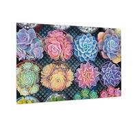 Puzzle en bois de 1 000 pièces dans une boîte, impressions succulentes douces, puzzle éducatif respectueux de l'environnement pour s'amuser en famille et se détendre des adultes, 75 x 50 cm