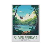 Puzzle en Bois De 1000 Pièces pour Adultes，Silver Springs State Park，Jouets De Décompression Éducatifs Et Intellectuels, Jeux Familiaux Amusants pour Enfants（75x50cm）-W73