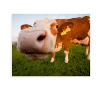 Puzzle en Bois De 1000 Pièces pour Adultes，Vache，Jouets De Décompression Éducatifs Et Intellectuels, Jeux Familiaux Amusants pour Enfants（75x50cm）-BC4