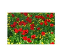 Puzzle en Bois de 1000 pièces représentant Un Champ de Coquelicots Rouges, Une Prairie et Un Paysage champêtre.