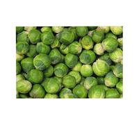 Puzzle en Bois de 300 pièces avec Motif de Choux de Bruxelles Verts, livré dans Une boîte.