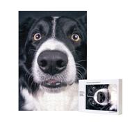 Puzzle en Bois de 300 pièces Border Collie et Chien pour s'amuser en Famille