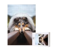 Puzzle en Bois de 300 pièces représentant des Chiens à Poil Long (Collie Bokeh) et des Animaux de Compagnie, avec boîte d'emballage pour Adultes.