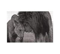 Puzzle en Bois de 300 pièces représentant des Lions et des lionnes, avec boîte d'emballage pour Adultes.