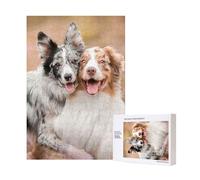Puzzle en Bois de 300 pièces représentant Deux Bergers Australiens et des Border Collies, pour Un Divertissement Familial et Adulte.