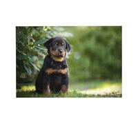Puzzle en Bois de 300 pièces représentant Un Chiot Beauceron Noir, Un Adorable Berger français, pour Adultes et Seniors.