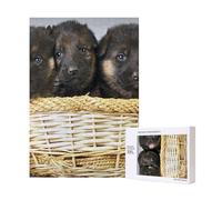 Puzzle en Bois de 300 pièces représentant Un Petit Berger Allemand, avec boîte d'emballage pour Adultes.