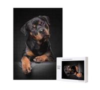 Puzzle en Bois de 300 pièces représentant Un Rottweiler Aimant, confiant et Loyal, avec boîte d'emballage pour Adultes.