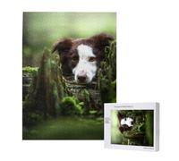 Puzzle en Bois de 500 pièces, Jeu Familial pour Adultes et Adolescents,Border Collie Stone Sweet Brown Chiens Animaux de Compagnie