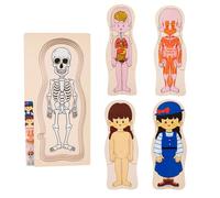 Puzzle en bois de modèle de corps humain - Jeu de plateau d'apprentissage de l'anatomie, kit d'apprentissage de la structure musculaire squelettique en couches | Jouet d'activité pédagogique et