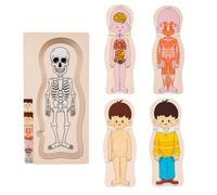 Puzzle en bois du corps humain : puzzle éducatif de l'anatomie humaine pour , jeu interactif pour apprendre les parties du corps, modèle éducatif de la structure