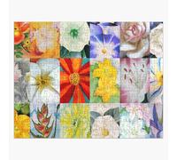 Puzzle en bois Fleurs de Georgia O'Keeffe 300 pièces 38x26 cm jouet décoration mura