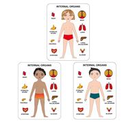 Puzzle En Bois Montessori, Jouet Éducatif, Jeu Préscolaire Pour Apprendre Les Parties Du Corps Humain, Cadeaux Amusants