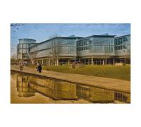 Puzzle en Bois pour Adultes 1000 Pièces Art DIY Puzzle，Nouvelle bibliothèque Universitaire，Créatif Cadeau Unique Personnalité Jeu Adulte Enfant Puzzle Jouet（75x50cm）-AL89