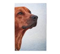 Puzzle en Bois pour Adultes, 1000 pièces, représentant Un Chien Rhodesian Ridgeback