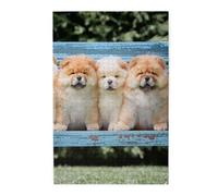 Puzzle en Bois pour Adultes « Cinq Chiots » (1000 pièces)