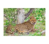 Puzzle en Bois pour Enfants 1000 Pièces，Guépard avec Ses Petits，Mots Croisés Jeu Moderne Accueil Décoration Cadeau Unique（75x50cm）-AD67