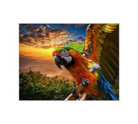 Puzzle en Bois Puzzles Classiques 1000 Pièces，Ara au Coucher du Soleil，Jigsaw Jeu Éducatif Intellectuel Difficile Et Défi Cadeau（75x50cm）-A66