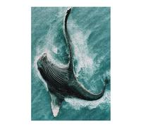 Puzzle en Bois Sea Monsters008 pour Adultes, Format 300 PCS