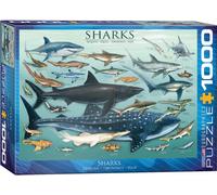 Puzzle En Carton De 1000 Pièces Requins Par Eurographics 680Mm X 480Mm