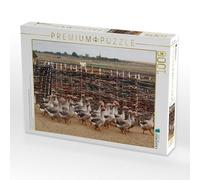 Puzzle · en File Indienne dans Une Ferme cosaque Historique sur Le Haut-Don | 1000 pièces · Format assemblé 64 × 48 cm · CALVENDO Puzzle