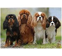 Puzzle en Papier 100 pièces, Cavalier King Charles Spaniel, Jeu de réflexion, Puzzle décoratif Durable pour Adolescents et Enfants, 45,5 x 35,5 cm