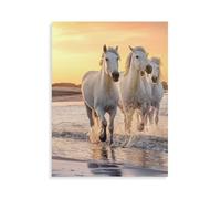 Puzzle en Papier 1000 pièces，Cheval Blanc en liberté dans la Nature，pour Adultes et Enfants Bricolage Peinture Classique Moderne décor à la Maison Cadeau de Festival（50x70cm）-AP58