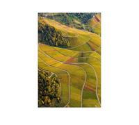 Puzzle en Papier 1000 Pièces，Vignobles Entre Le Kappelberg et Le Rotenberg，Adultes Enfants Assemblage De Puzzles Jouets（38x26cm）-AU48