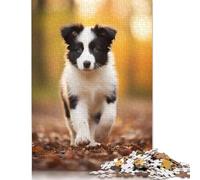 Puzzle en papier de 1000 pièces avec chiot Border Collie à l'automne, pour adultes et familles, 1000 pièces (75 x 50 cm)
