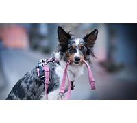 Puzzle en Papier de 2000 pièces- Jeu Familial, A, 2000 - Casse-TêTe pour Enfants - DéCouvrir Et Se Souvenir - Jeux éDucatifs - à Partir De 7 Ans - Taille Finie70x100cm