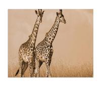 Puzzle en Papier pour Enfants 1000 Pièces，Couple de girafes se promenant，Mots Croisés Jeu Moderne Accueil Décoration Cadeau Unique（50x70cm）-W98