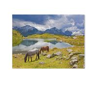Puzzle en Papier pour Enfants 1000 Pièces，Deux Chevaux au lac Krummschnabelsee à Obertauern，Mots Croisés Jeu Moderne Accueil Décoration Cadeau Unique（38x26cm）-Y86