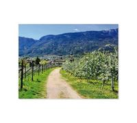 Puzzle en Papier pour Enfants 1000 Pièces,Fleurs de Pommier Autour de St Pauls,Mots Croisés Jeu Moderne Accueil Décoration Cadeau Unique(38x26cm)-AS38