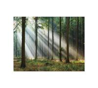 Puzzle en Papier Puzzle Adulte 1000 Pièces，Beau Matin dans la forêt，Décor À La Maison Dessin Animé Paysage Jeu De Décompression Cerveau Défi Difficulté Jouet Éducatif s Puzzle Puzzles（50x70cm）-M17