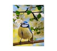 Puzzle en Papier Puzzles Classiques 1000 Pièces，Printemps: mésange Bleue perchée sur Une Branche de Pommier en Fleurs，Jigsaw Jeu Éducatif Intellectuel Difficile Et Défi Cadeau（50x70cm）-C26