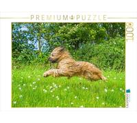 Puzzle · en Route à Toute Vapeur - Briard | 1000 pièces · Format assemblé 64 × 48 cm · CALVENDO Puzzle