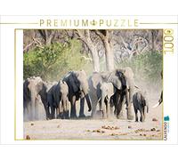 Puzzle · en Route vers la rivière Khwai, au Botswana | Rivière Am Khwai, Botswana · 1000 pièces · Format assemblé 64 × 48 cm · CALVENDO Puzzle