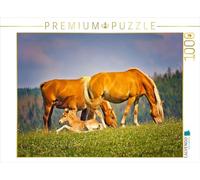 Puzzle · en Train de brouter | entièrement en famille · 1000 pièces · Format assemblé 64 × 48 cm · CALVENDO Puzzle