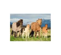 Puzzle enfant 200 pieces - Famille Cheval - SCHMIDT AND SPIELE