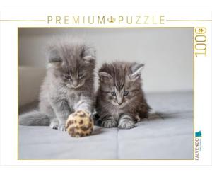 Puzzle · envie de jouer | 1000 pièces · Format assemblé 64 × 48 cm · CALVENDO Puzzle