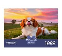 Puzzle Épagneul Breton 1000 Pièces pour Adultes Et Enfants, Jeu en Famille, Jeu ÉduChatif, Casse-tête Prairie Plaine, DéCoration, Cadeau Anniversaire 70x50cm/1000pcs