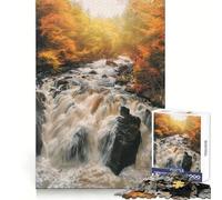 Puzzle ermitage de Black Linn Falls pour Adultes, 1000 pièces, Exercice Mental, Passe-Temps Confortable, Cadeau Festif (38x26cm)