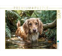Puzzle · Espérons Que l'eau ne devienne Pas Plus Profonde | 1000 pièces · Format assemblé 64 × 48 cm · CALVENDO Puzzle