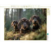 Puzzle · Est-ce Que C'est Peut-être Un Terrier de Blaireau