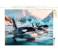 Puzzle · Est-ce Une compétition de Natation dans Un décor glacé | 1000 pièces · Format assemblé 64 × 48 cm · CALVENDO Puzzle