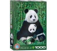 Puzzle Eurographics 1000 pièces - Panda et son petit - Animaux - Adulte